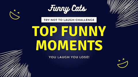 Funny Cats And Funny Moments