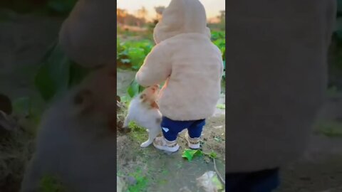 smart good baby || cute baby || #shorts #boybaby5monthscan