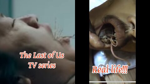 Real Life: The Last of Us? 👀‼️