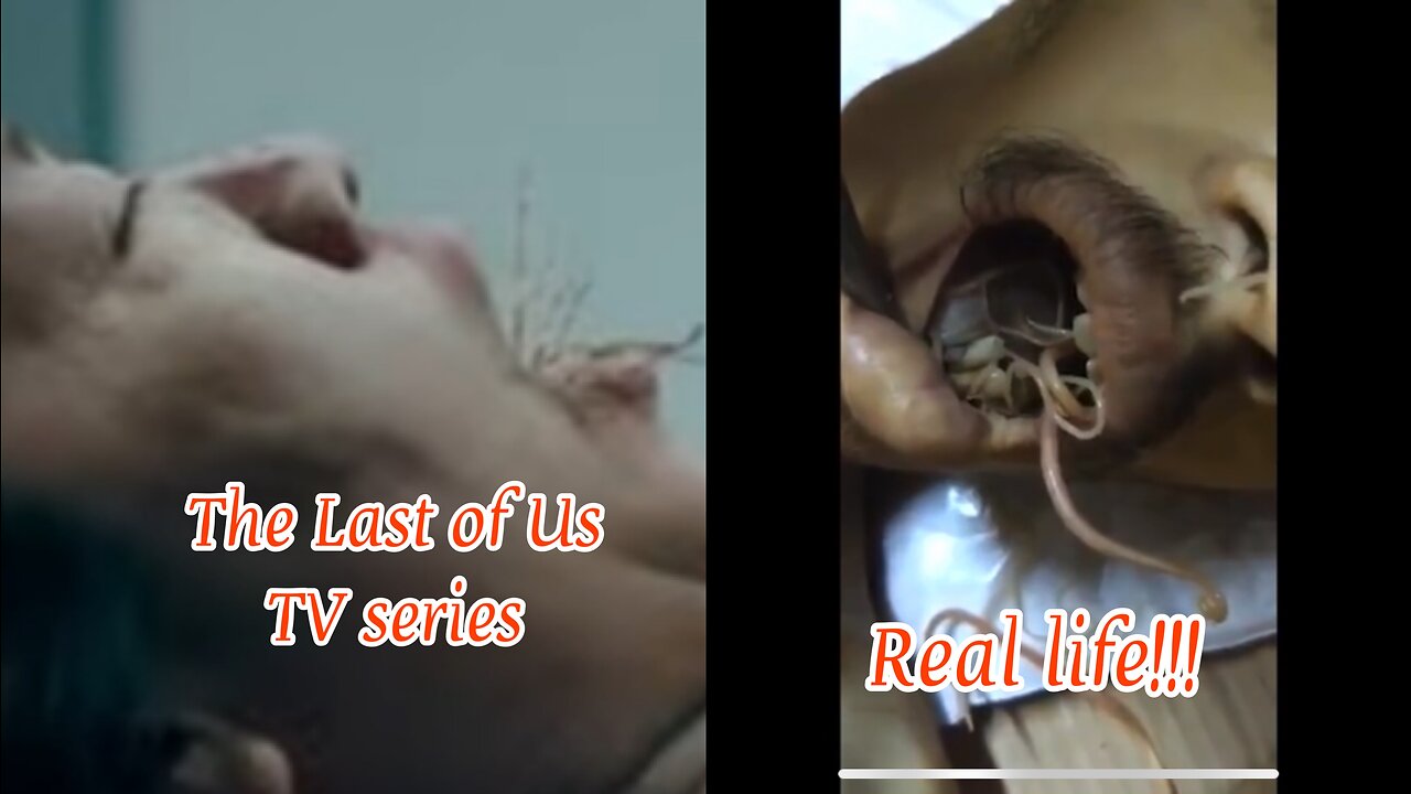Real Life: The Last of Us? 👀‼️
