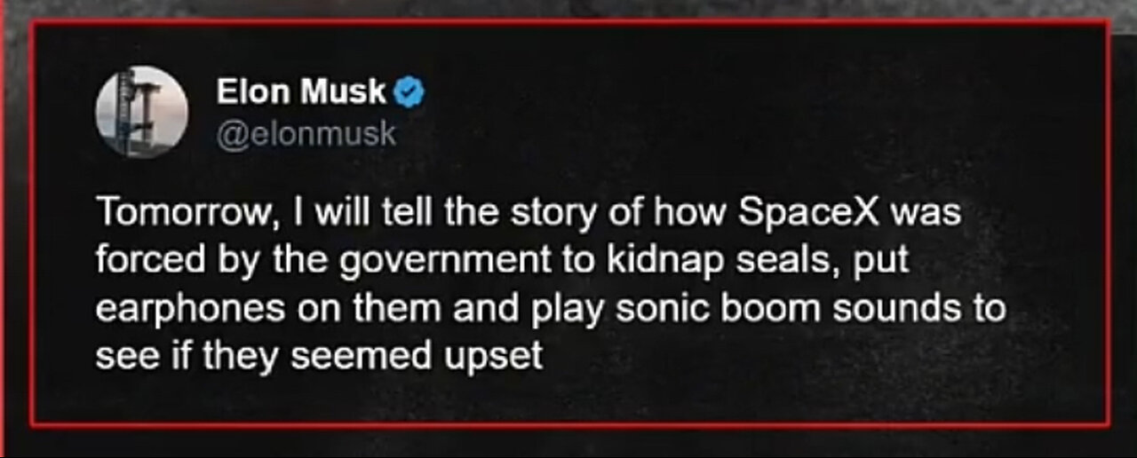 Elon Musk Exposing the Government for Forcing SpaceX to Kidnap Baby Seals