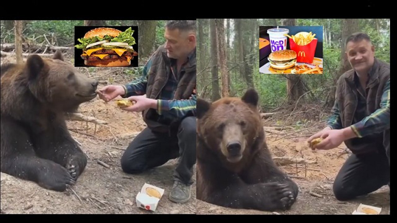 Do you eat 'Fast Food'! [15.07.2023]
