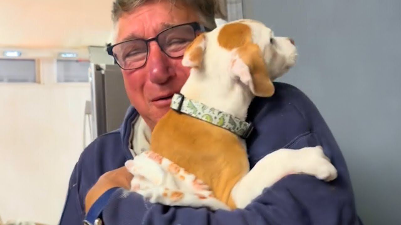 Best New Puppy Surprise Ever! 🐶 Wholesome Surprise Moments