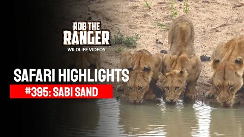 Safari Highlights #395: 14 - 17 March 2016 | Sabi Sand Wildtuin | Latest Wildlife Sightings