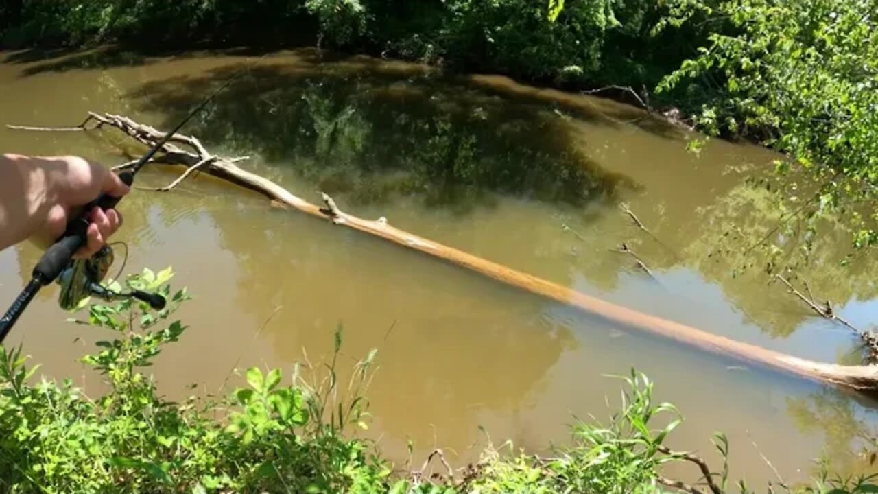 Fishing Bull Run creek Manassas Va, meeting nice Indian Youtubers in the process