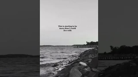 Quotes Of The Day|| Daily Life quotes|| Great Quotes for you.. #shorts Number-(4)