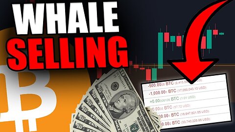 THE LARGEST BITCOIN WHALE JUST SOLD MORE BITCOIN