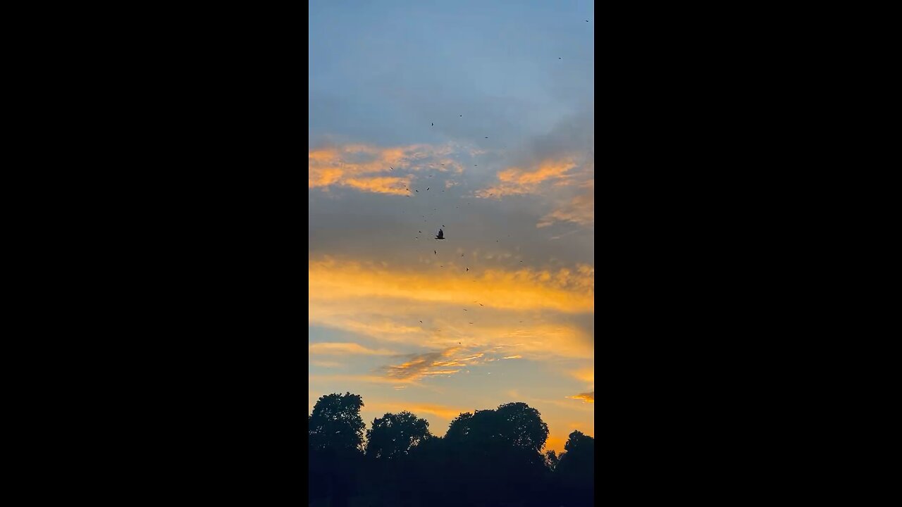 Best view Pakistan 🇵🇰