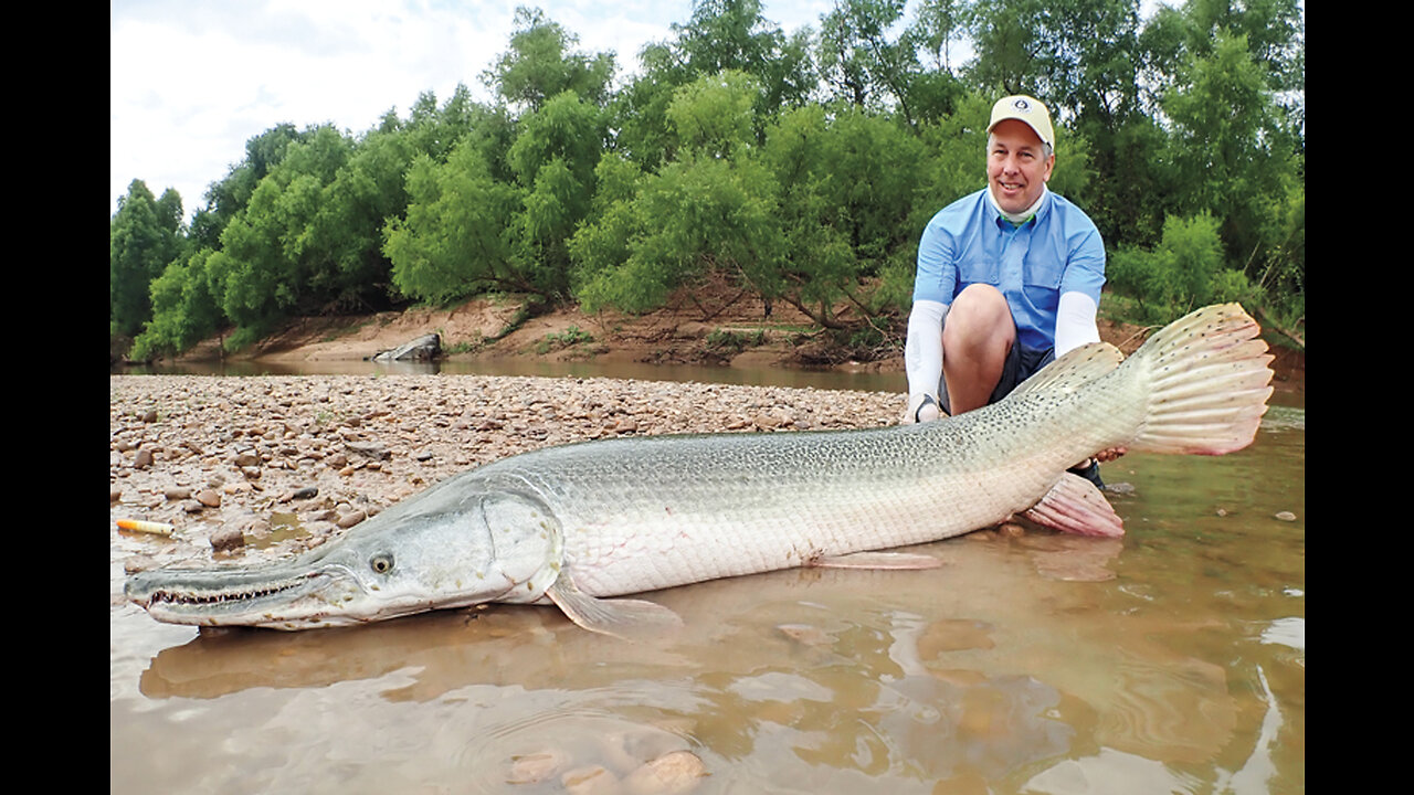 A Complete Guide to Catching Alligator Gar