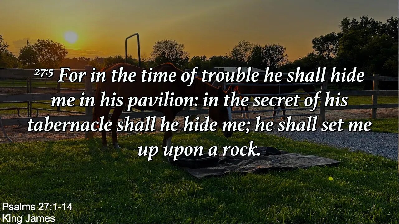 Wednesday Evening, August 2nd - The Lord Is The Strength Of My Life