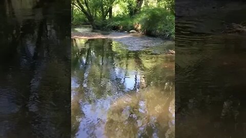 natural peaceful river
