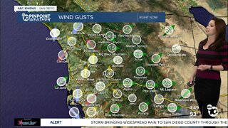 ABC 10News Pinpoint Weather with Meteorologist Megan Parry