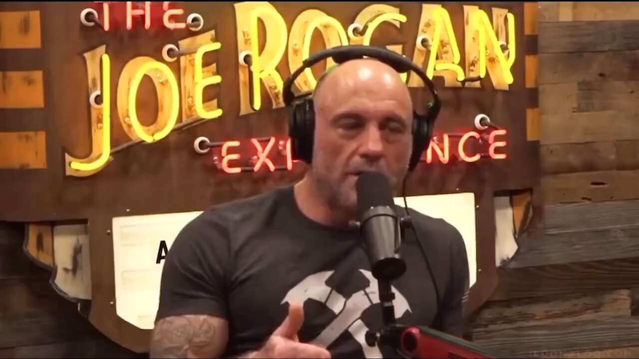 Joe Rogan& Theo Vin weigh in on the Target boycott.