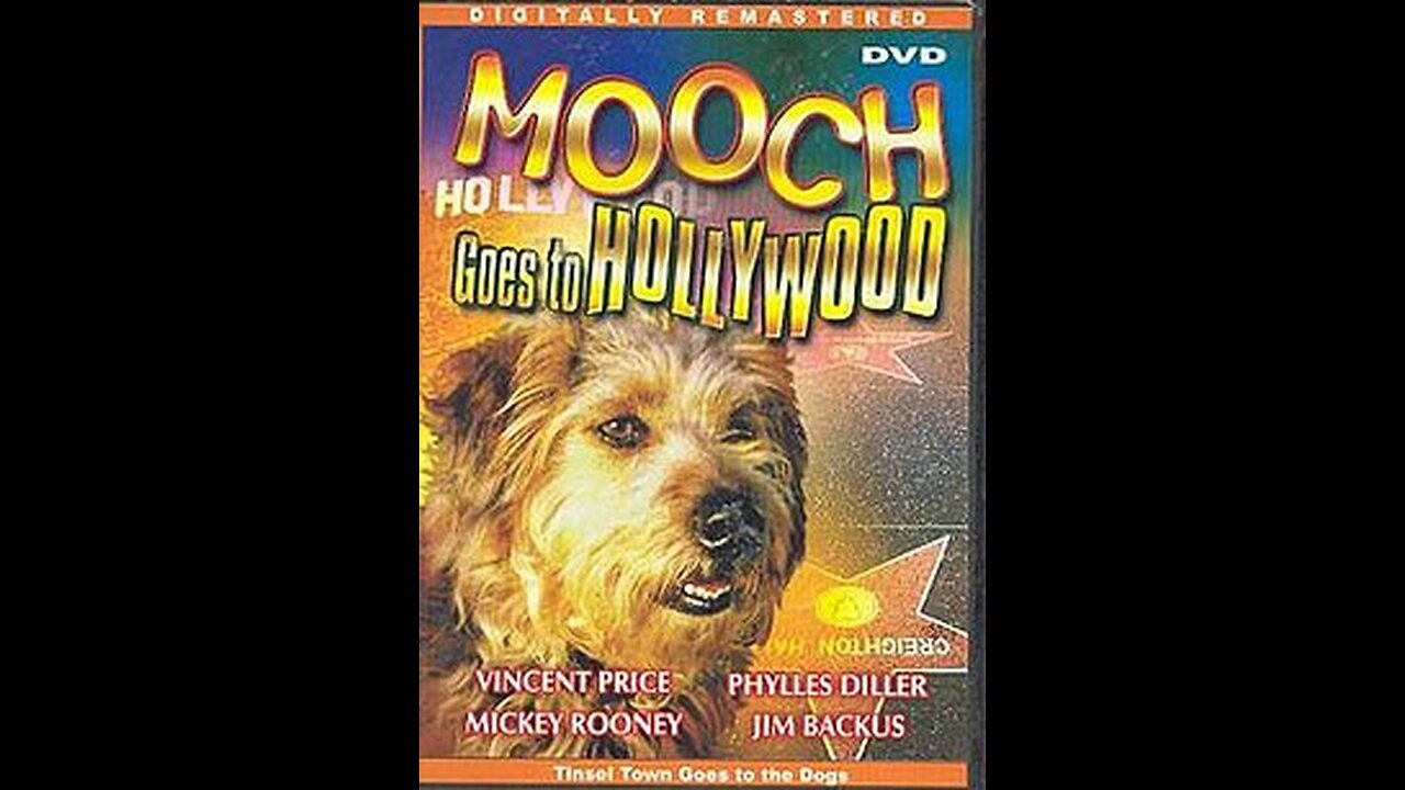 Mooch Goes to Hollywood 1974 Vincent Price Comedy, Family Color Movie