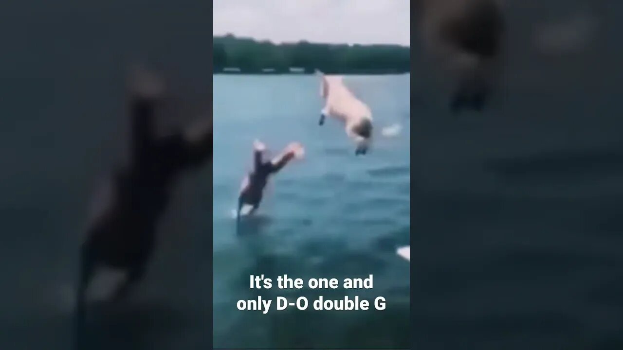 MEME is the one and only D-O double G #shorts