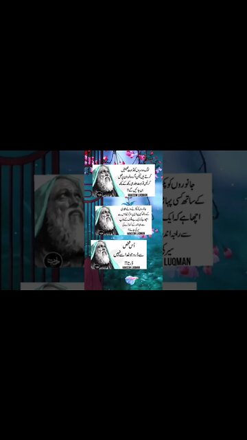 Respect 🔥🔥🔥🔥#respect #vrial #amazing #illusion #foru #wow #crazy #xyzbca #respekt OMG😱 #moments