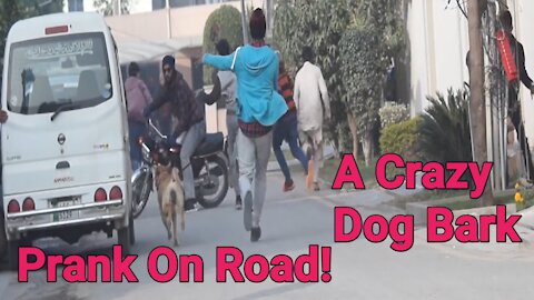 The Best Dog Bark Prank On the Riad