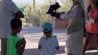 Visit Cool Summer Nights at the Desert Museum