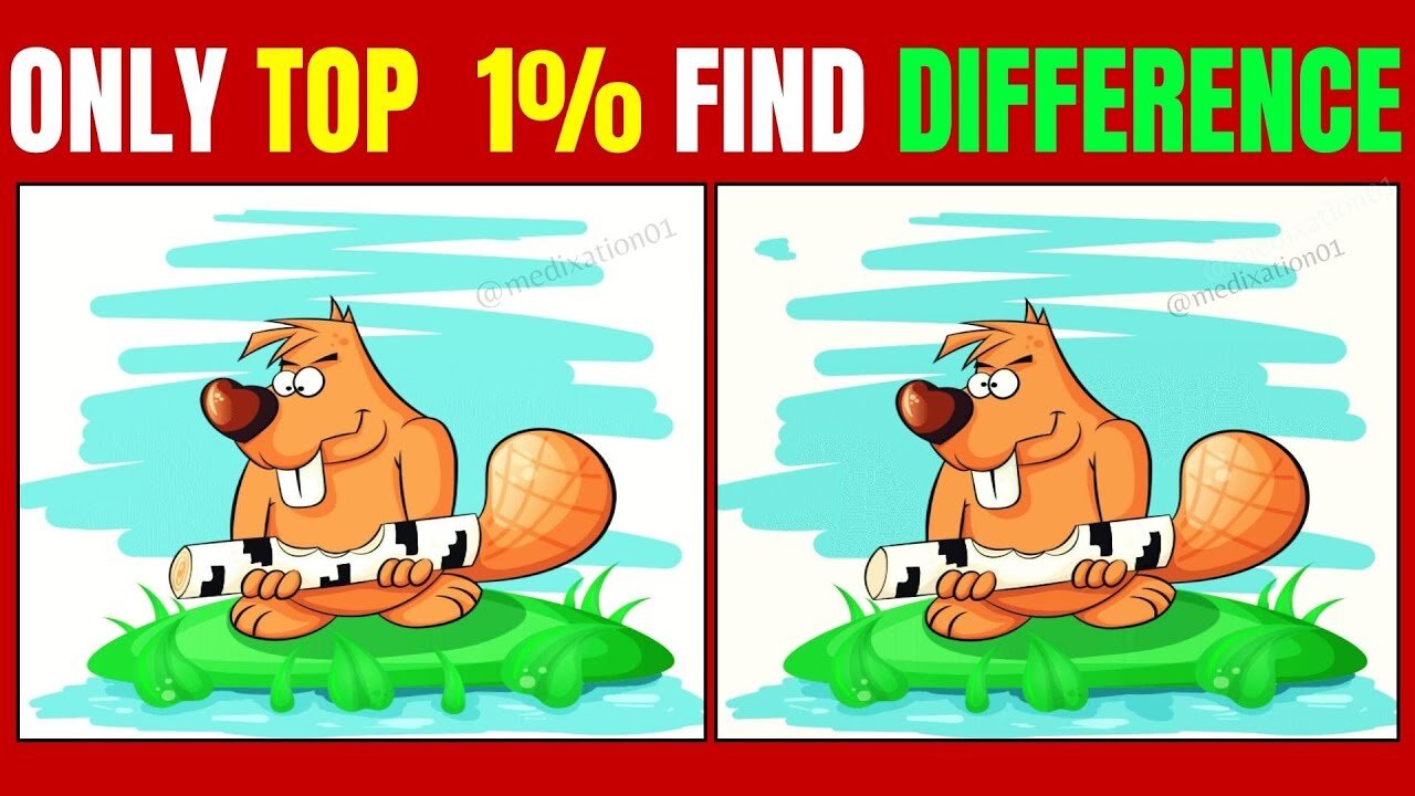 Spot The Difference : Can You Find All[ Find The Difference #3]