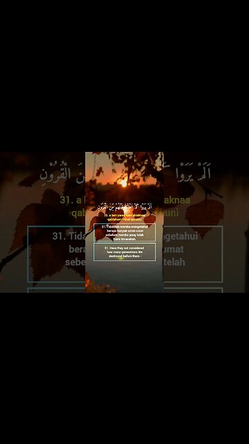 Surah Yasiin Ayat 31 . #alquran #quran #murottal