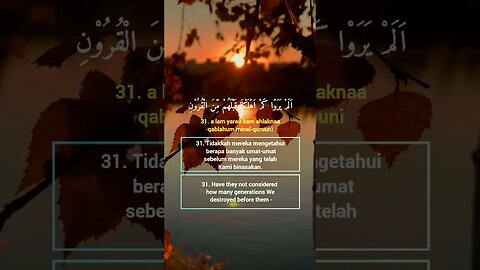 Surah Yasiin Ayat 31 . #alquran #quran #murottal