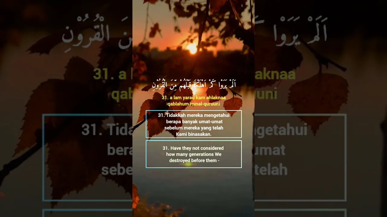 Surah Yasiin Ayat 31 . #alquran #quran #murottal