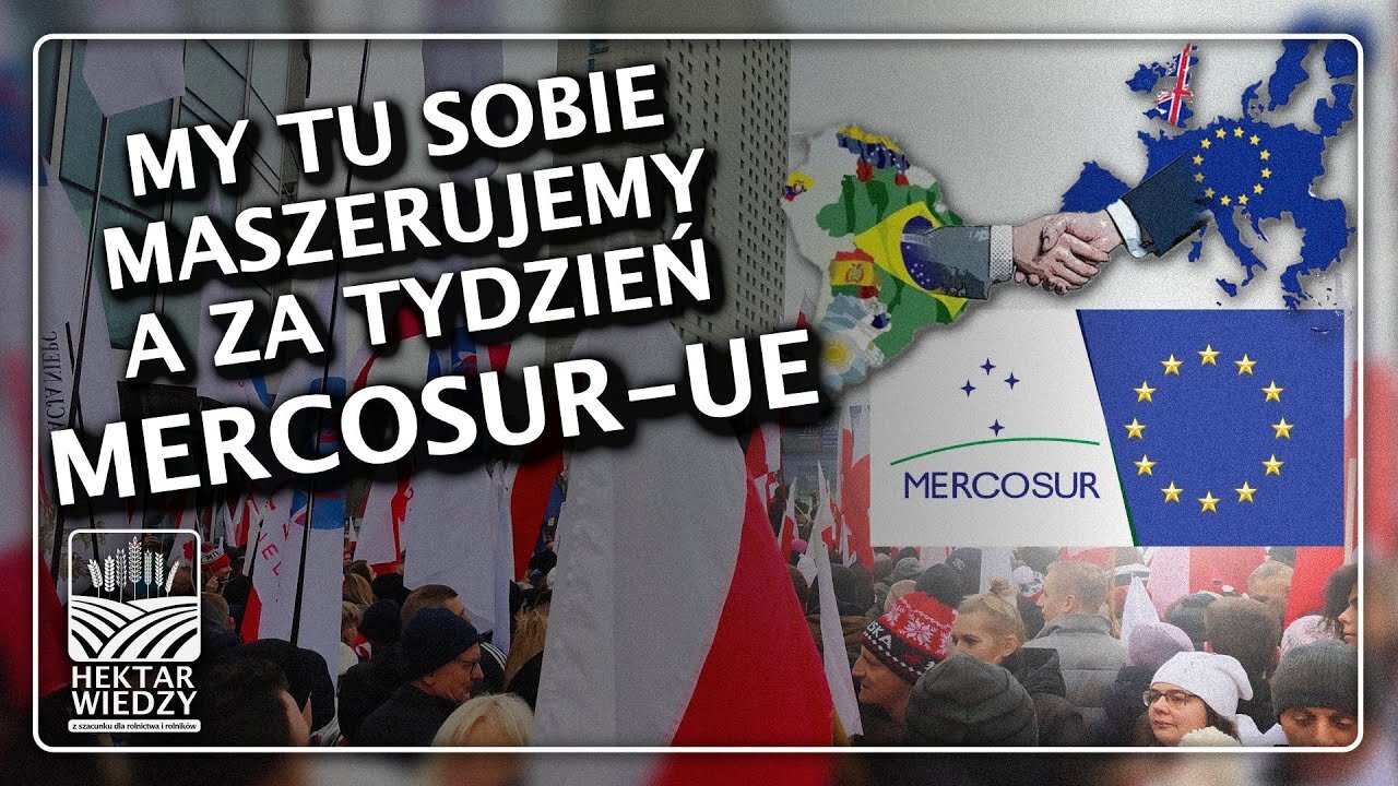 MY TU SOBIE MASZERUJEMY A ZA TYDZIEŃ - MERCOSUR-UE!