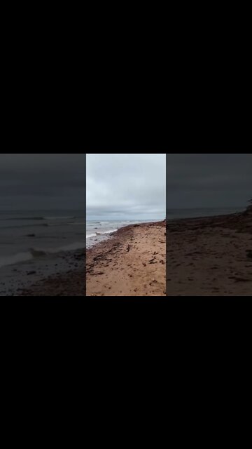 Cloudy day at the beach