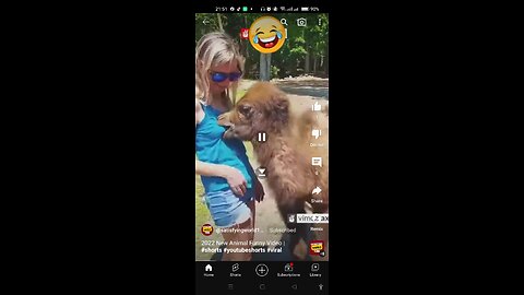 New Funny Animal Short Videos