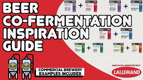 Beer Co Fermentation Inspiration Guide