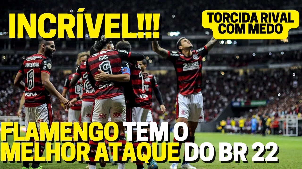 INCRÍVEL! FLAMENGO É O MELHOR ATAQUE DO BRASILEIRÃO E TORCIDA DO PALMEIRAS MOSTRA MEDO NA INTERNET