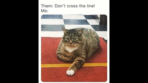 #526 THEM: DON'T CROSS THE LINE! LIVE FROM THE PROC 01.17.23