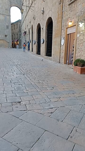Volterra around
