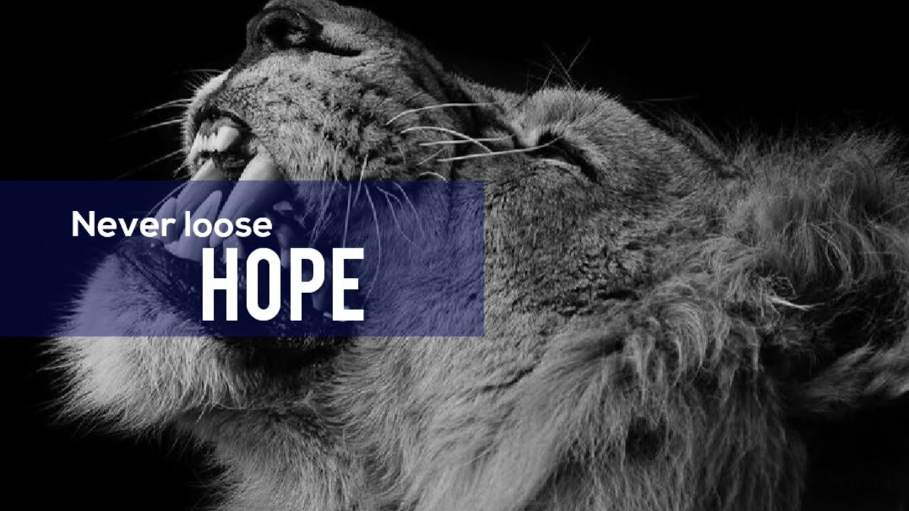 Never loose hope - Motivational video