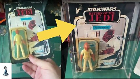 Hot Leeds Figure Displays Case Review