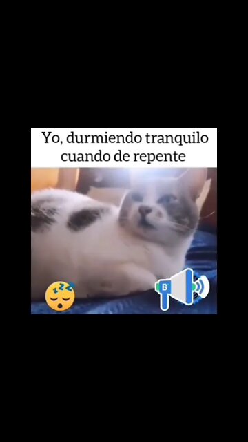 YO DORMIENDO TRANQUILLO CUANDO DE REPENTE