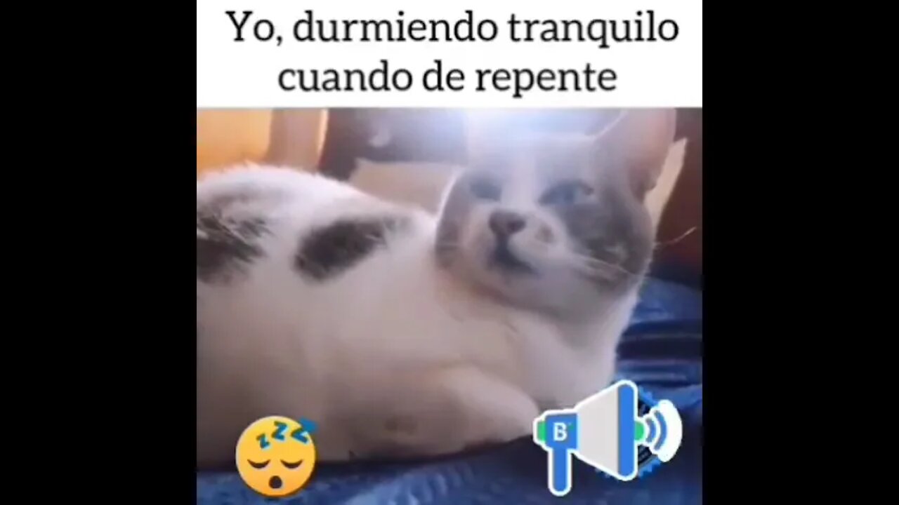 YO DORMIENDO TRANQUILLO CUANDO DE REPENTE