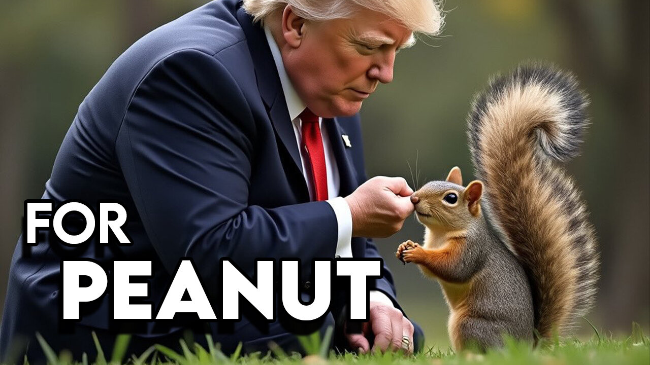 Save a life with the right vote today (Peanut The Squirrel)