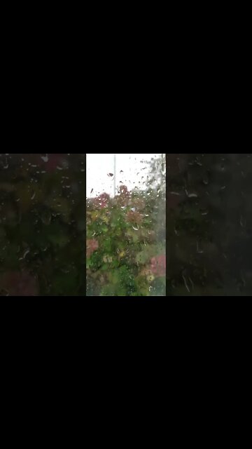 Som de chuva para status