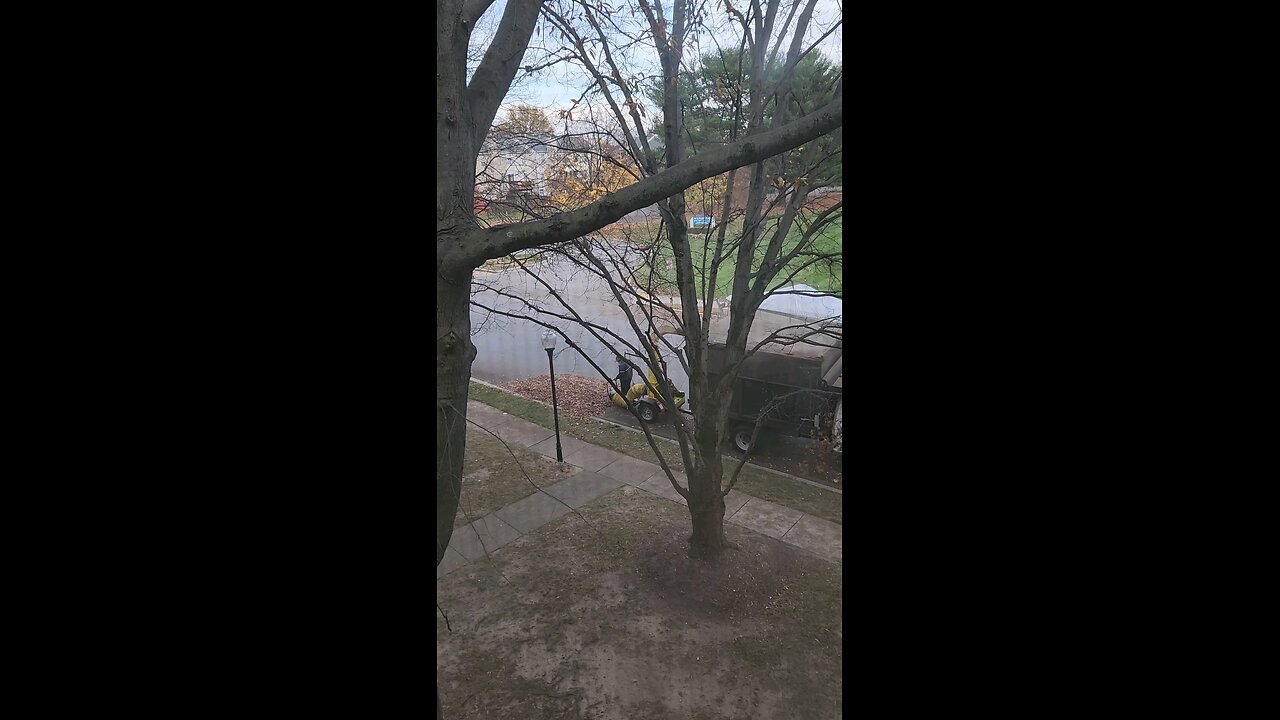 Fall cleanup with much less noise and pollution, pt2.