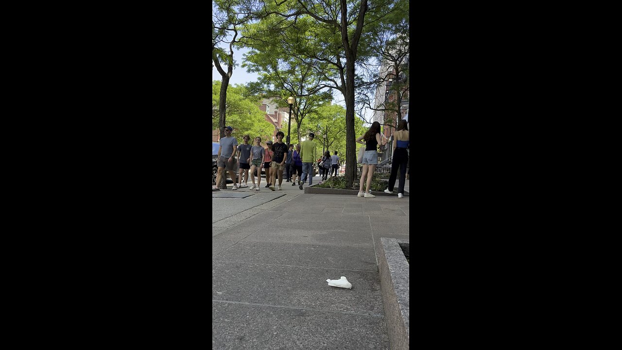 Chilling Newbury St Back Bay BOSTON