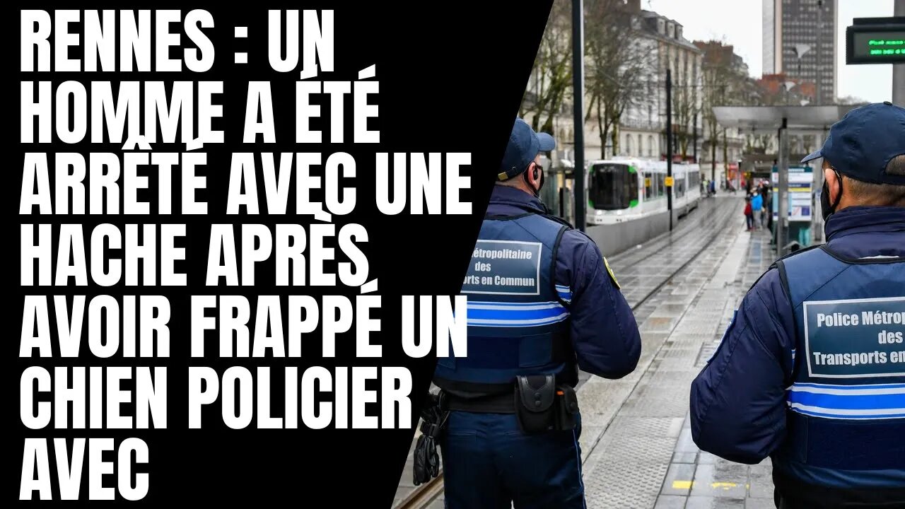 Rennes : Un homme a été arrêté avec une hache après avoir frappé un chien policier avec.