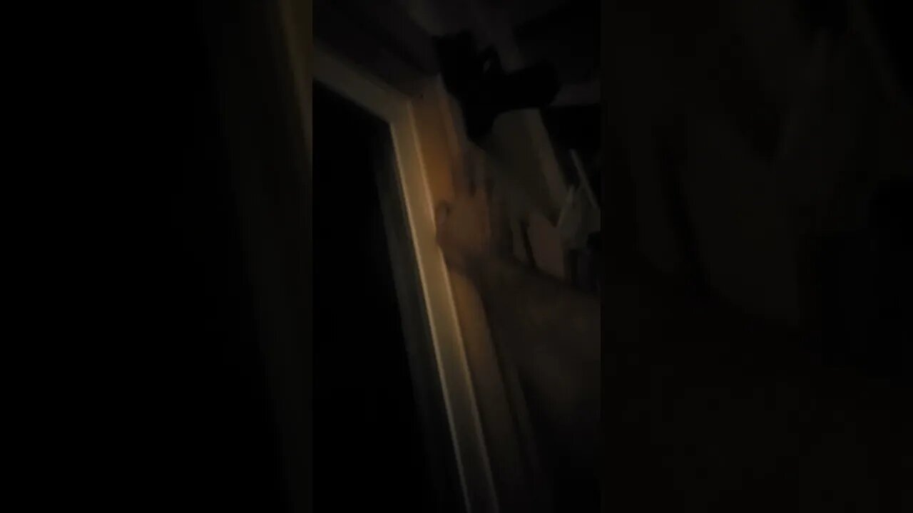 If You Made It This Far,