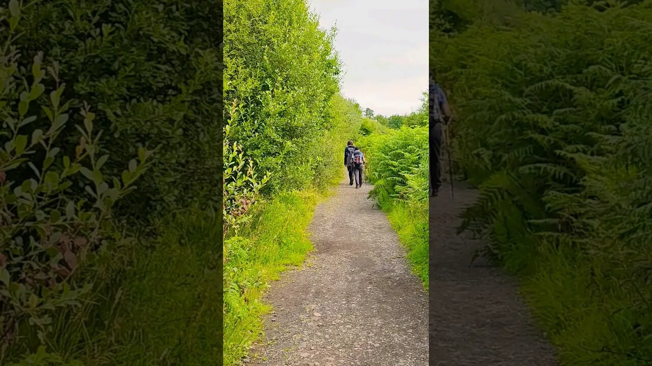 The Path on The West Highland Way Scotland #westhighlandway