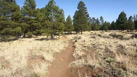 Flagstaff, AZ | Campbell Mesa Loop Trail