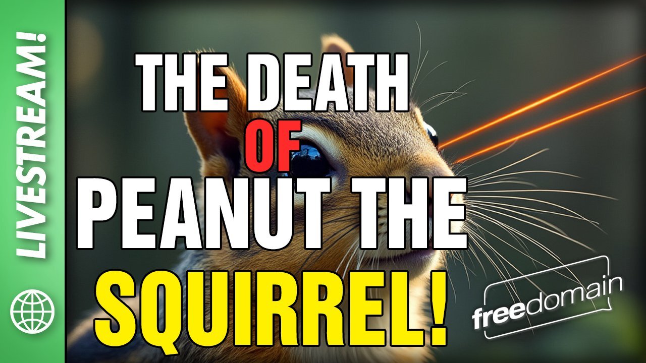 The Death of Peanut the Squirrel!