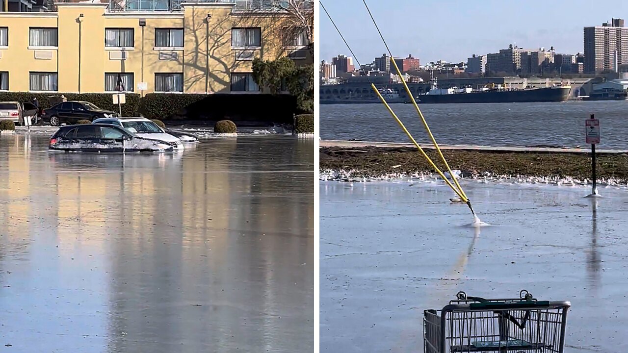 Harsh Weather Leaves Frozen Cars Stranded In Parking Lot