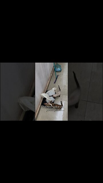 Julieta e Romeu como cresceram #shorts #romeuejulieta