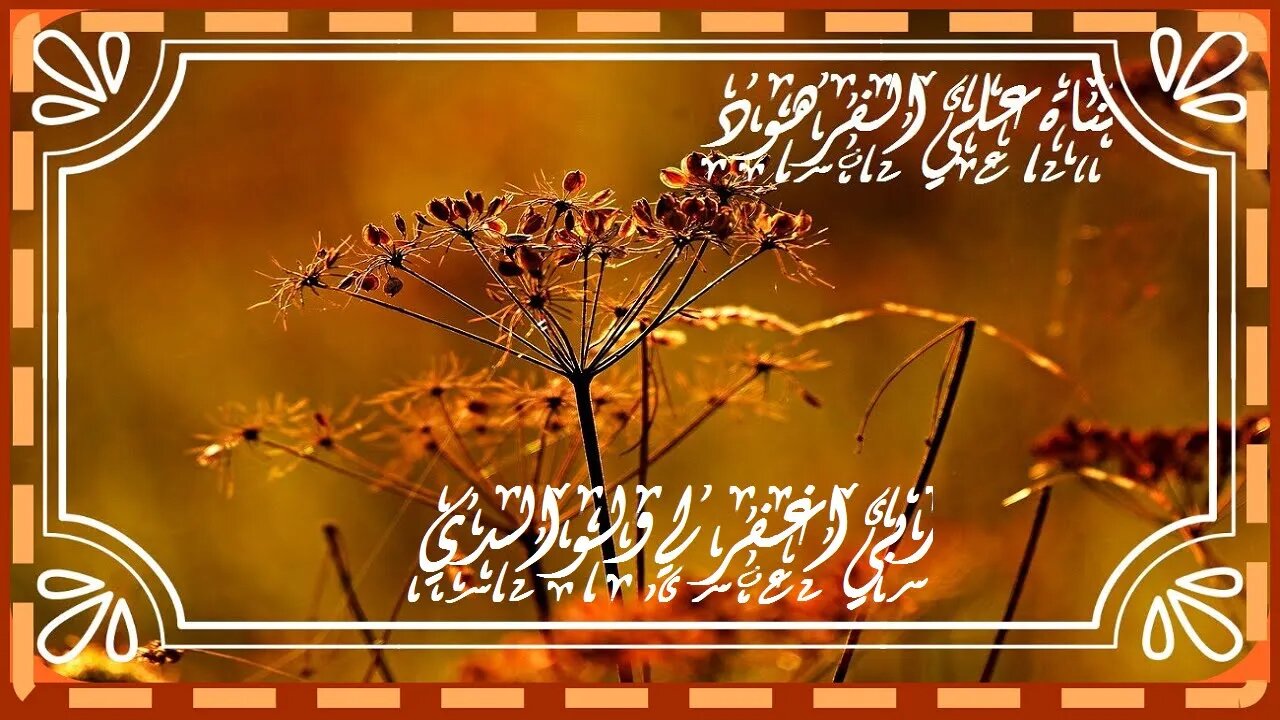 الله لا إله إلا هو الحي القيوم تلاوة خاشعة@nsrm11