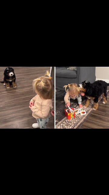 Little Girl Has Heartwarming Meeting With Friendly Puppy